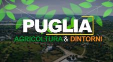 PUGLIA AGRICOLTURA & DINTORNI - 16PUNTATA