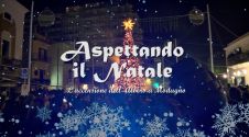 ASPETTANDO IL NATALE - L'ACCENSIONE DELL'ALBERO A MODUGNO 2024