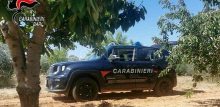 Operazione anticaporalato dei carabinieri tra Putignano e Conversano