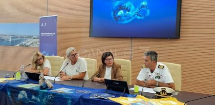 E' molto buono lo stato di salute del nostro mare