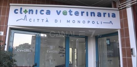 Inaugurata a Monopoli la Clinica Veterinaria Citt&agrave; di Monopoli